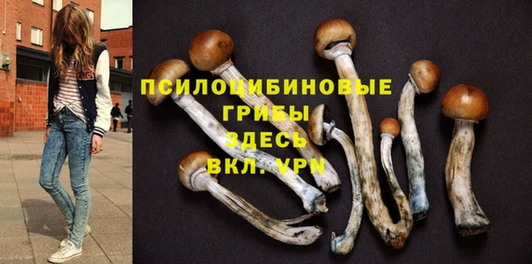 твердый Балабаново